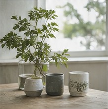 Instagram投稿（花のある暮らし）